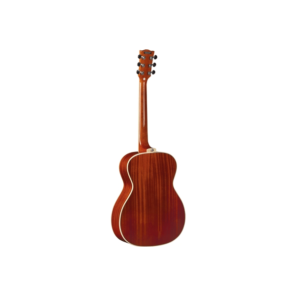 Eko Guitars NXT A100 Natural
