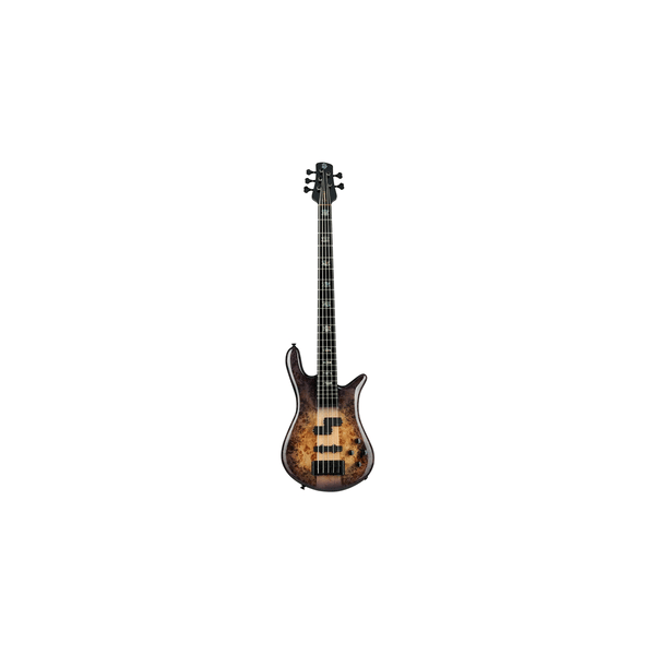 Spector Euro 5 CST - Nat Violet Burst Gloss