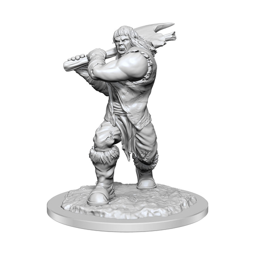 D&amp;D Nolzur's Marvelous Miniatures Unpainted Miniature Ogre Female Case (2)