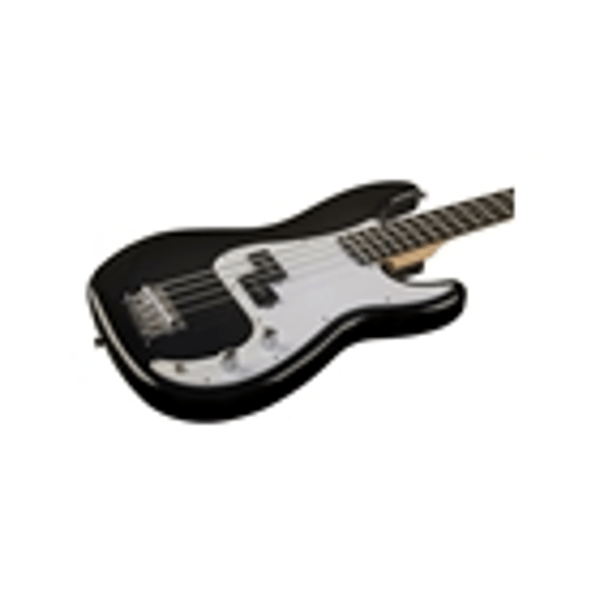 Eko Guitars VPB-100 Black