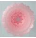 ico 2