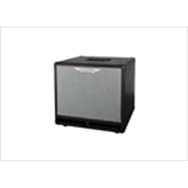 Ashdown RM-110T-EVO III