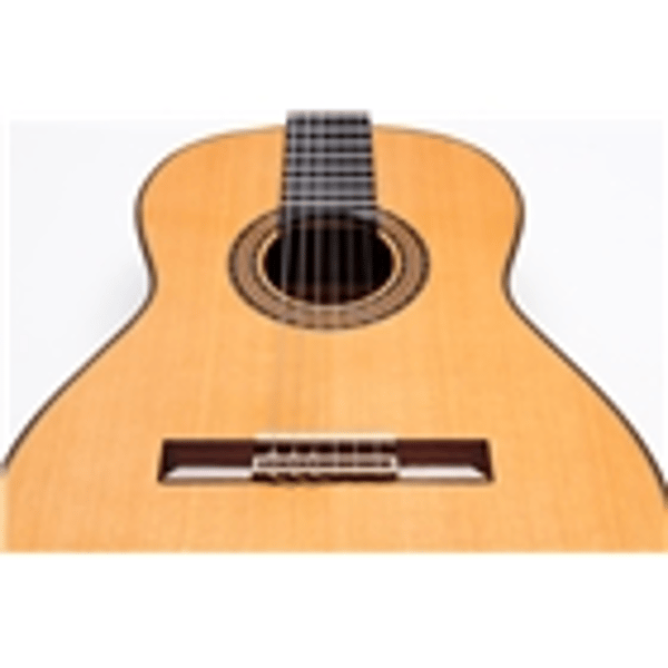 Esteve Alegria Chitarra Classica