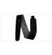 ico 1