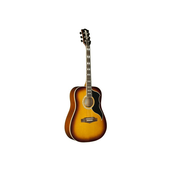 Eko Guitars Ranger VI VR Honey burst