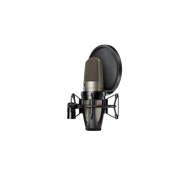 Shure KSM42-SG Microfono voce condensatore cardiode