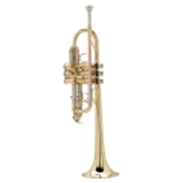 SOUNDSATION Tromba in Do con finitura laccata oro