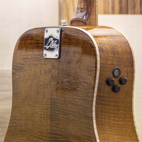 Eko Guitars Ranger Futura