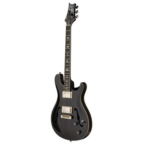 PRS SE Hollowbody Standard Dog Hair Smokeburst