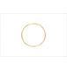 ico 2