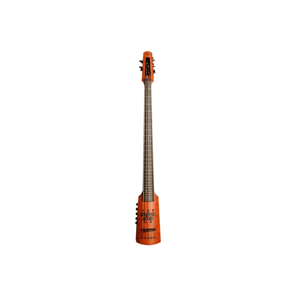 NS Design CR Omni Bass 5 Fretted Amber Stain