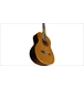 ico 1