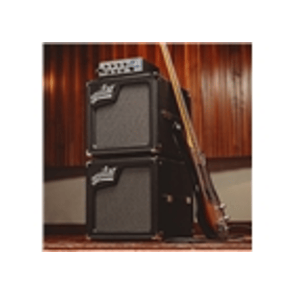 Aguilar SL 110 Black - 8 Ohm