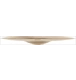 ico 2