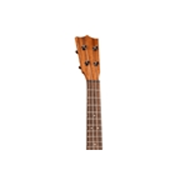 Martin &amp; Co. Centennial Concert Uke