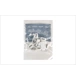 ico 1