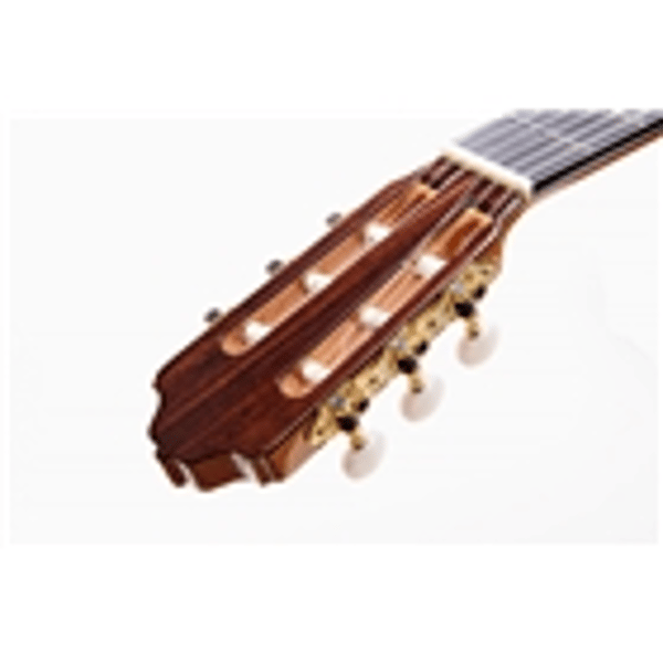 Esteve Alegria Chitarra Classica