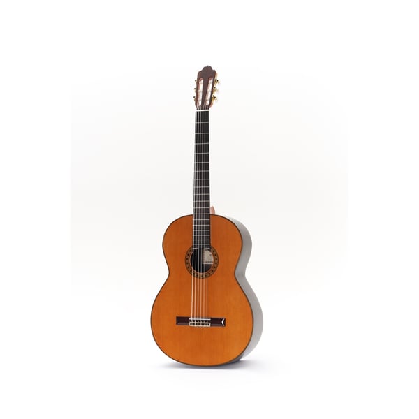Esteve Octave Bass 6 Chitarra Contrabbasso