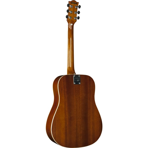 Eko Guitars Ranger VI VR Honey burst