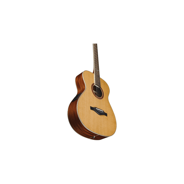 Eko Guitars Evo A350e Baritone