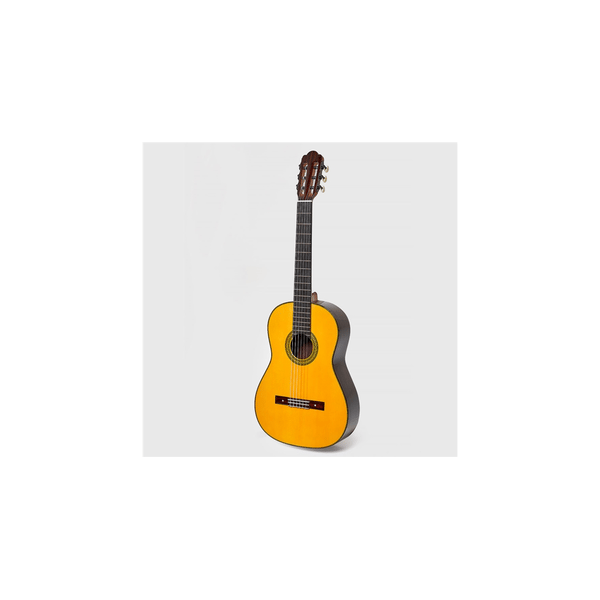 Esteve Torres Chitarra Classica