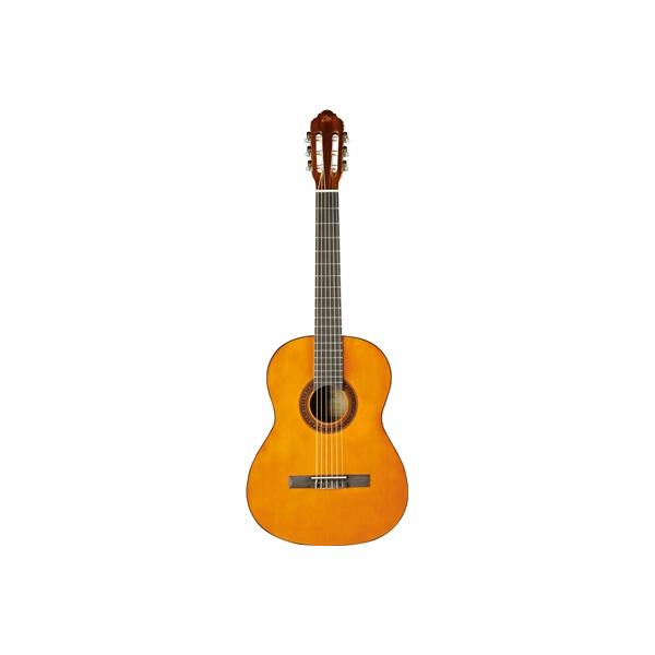 Eko Guitars CS-12