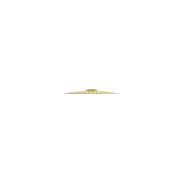 Zildjian ZP20R-20" Planet Z Ride
