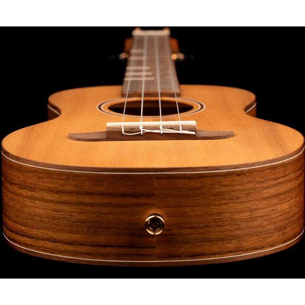 ORTEGA RUTI-TE