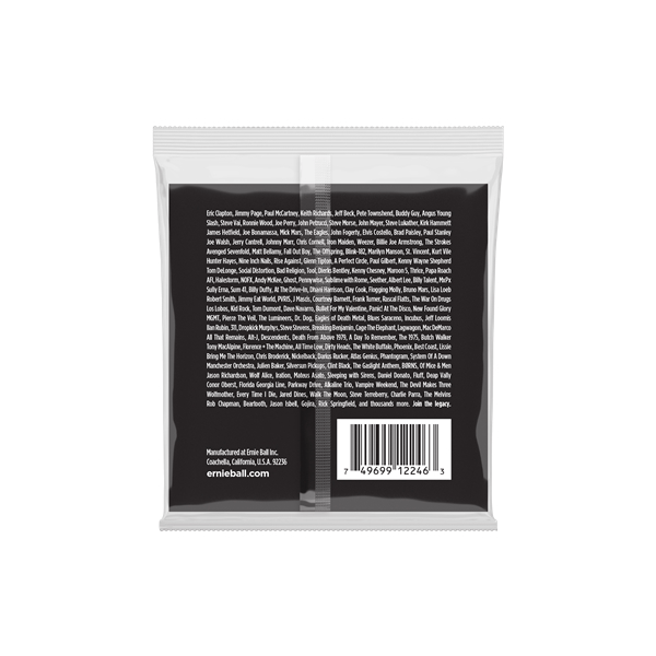 Ernie Ball 2246 Stainless Steel Regular Slinky 10-46