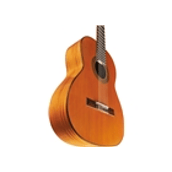 Eko Guitars EKO CHITARRA Vibra 300 Natural