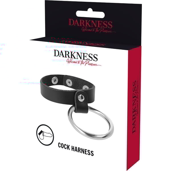 DARKNESS&amp;trade; - ANNEAU MÉTALLIQUE POUR LE PÉNIS ET LES TESTICULES