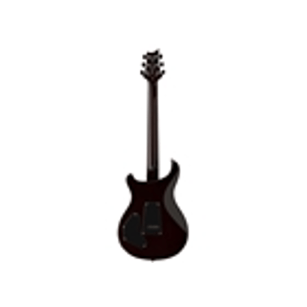 PRS SE DGT McCarty Tobacco Sunburst (Bird Inlays)