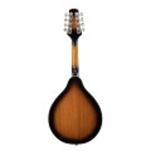 SOUNDSATION Mandolino bluegrass elettrificato con top in abete laminato