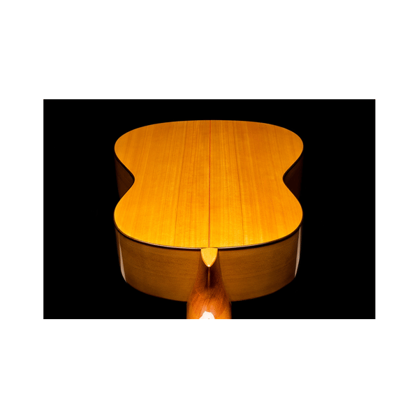 Esteve Adalid Chitarra Flamenca