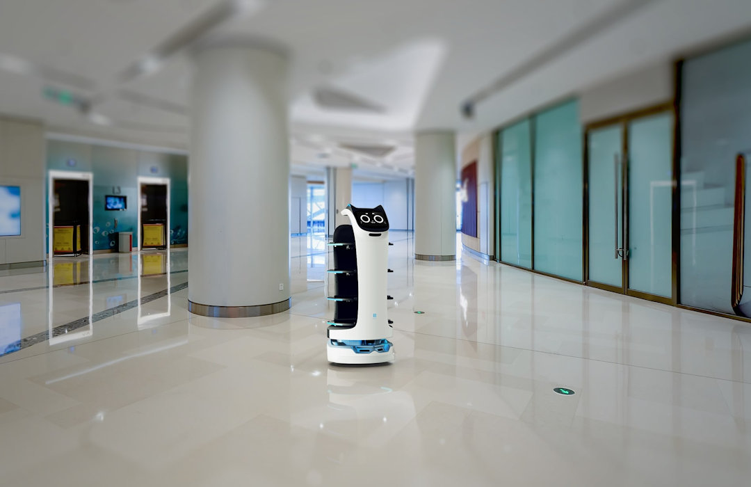 Da Padula nel resto del mondo arrivano i robot che servono ai tavoli e sparecchiano