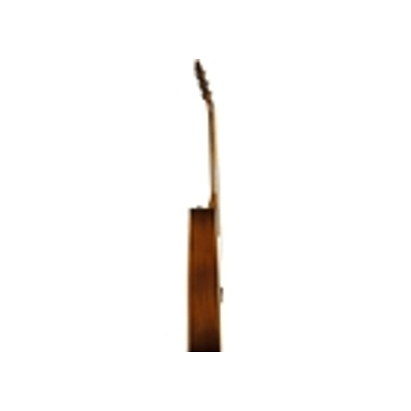 Eko Guitars Ranger VI VR Honey burst