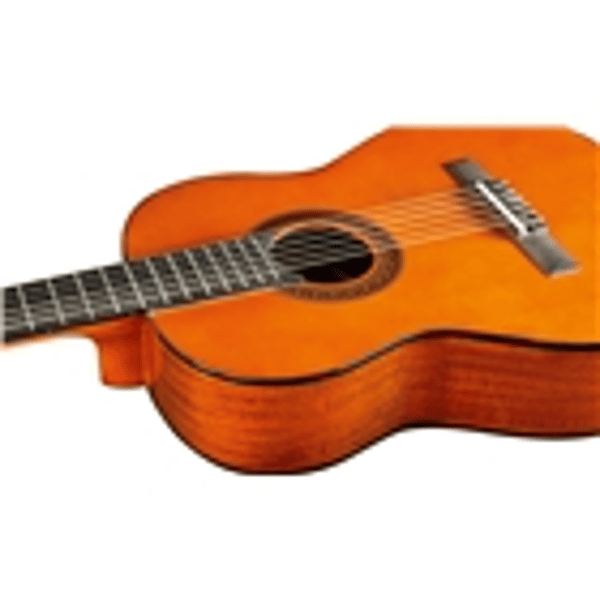 Eko Guitars CS-12