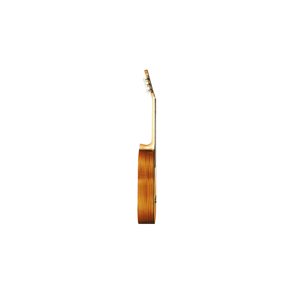 Eko Guitars EKO CHITARRA Vibra 300 Natural