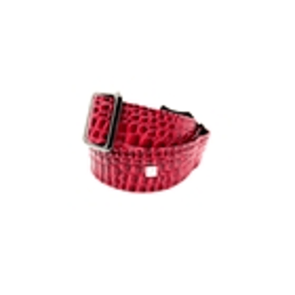 Get'm Get'm Aussie Gator Dragon Red