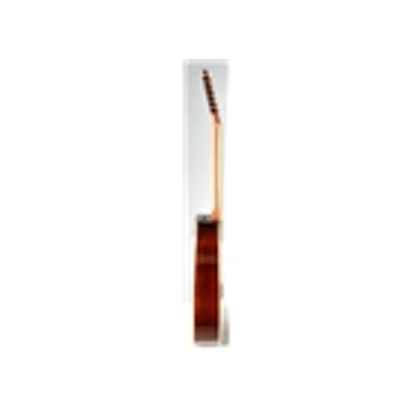 Eko Guitars Ranger XII VR Natural Top Stained