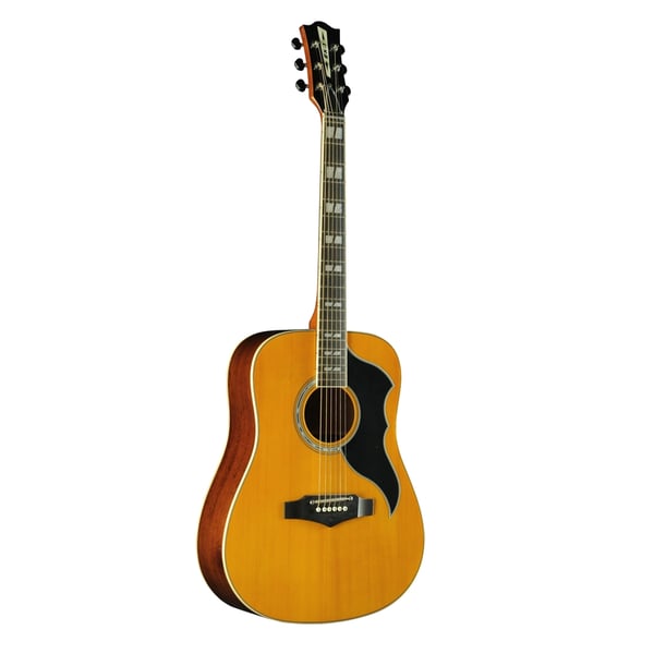 Eko Guitars Ranger VI VR Eq Natural Top Stained