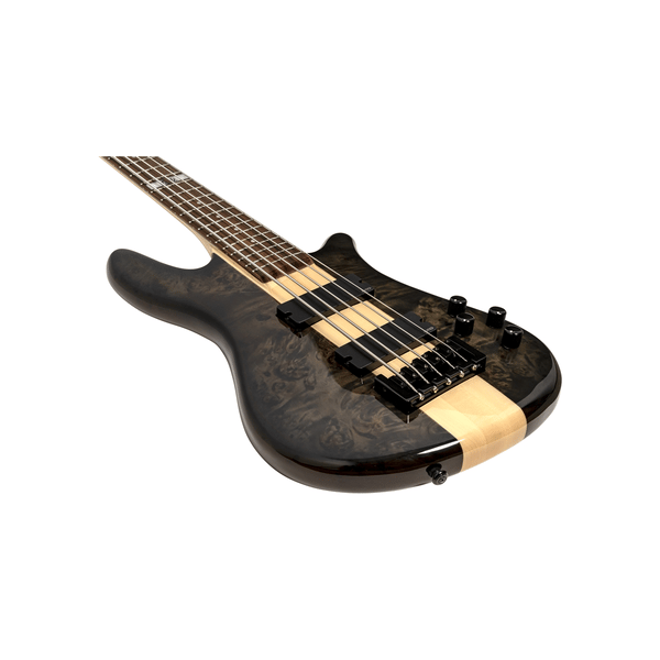 Spector NS-2000/5 Dan Briggs Black/Walnut Stain