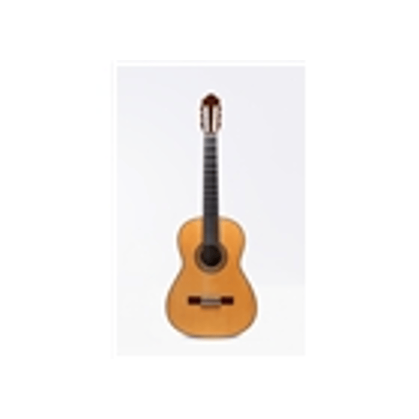 Esteve Alegria Chitarra Classica