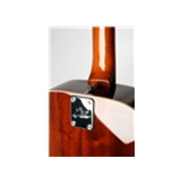 Eko Guitars Ranger VI VR Honey burst