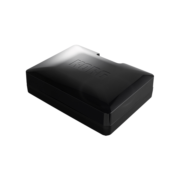 Korg handytraxx tube