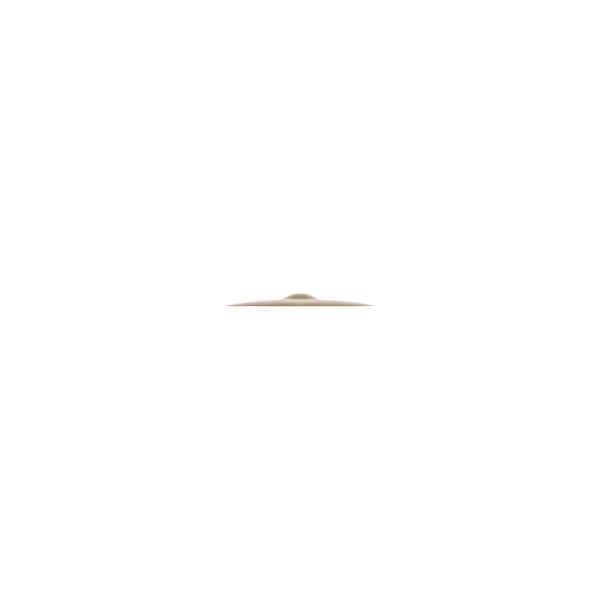 Zildjian A0264-14" A Fast Crash