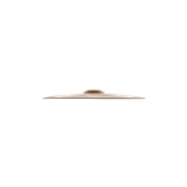 Zildjian A20822 21" A Custom 20th Anniversary Ride