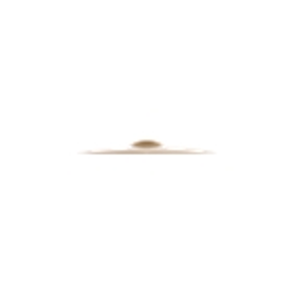 Zildjian A20516-18" A Custom Crash