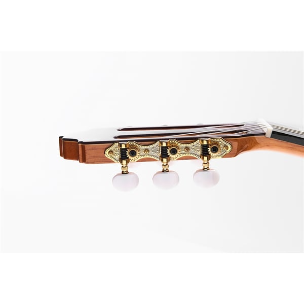Esteve Alegria Chitarra Classica