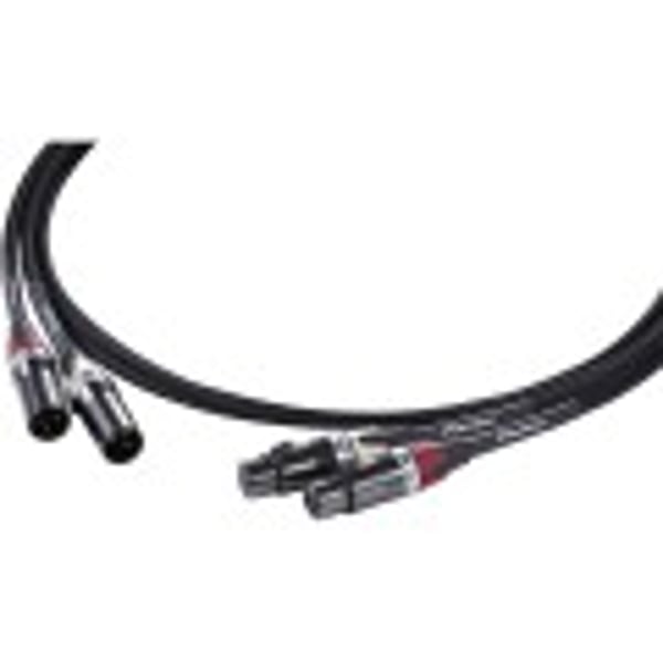 CAVO PIONEER DAS-XLR030R ex-demo